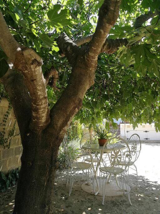 הוילה צ'ולייה Casa La Higuera מראה חיצוני תמונה