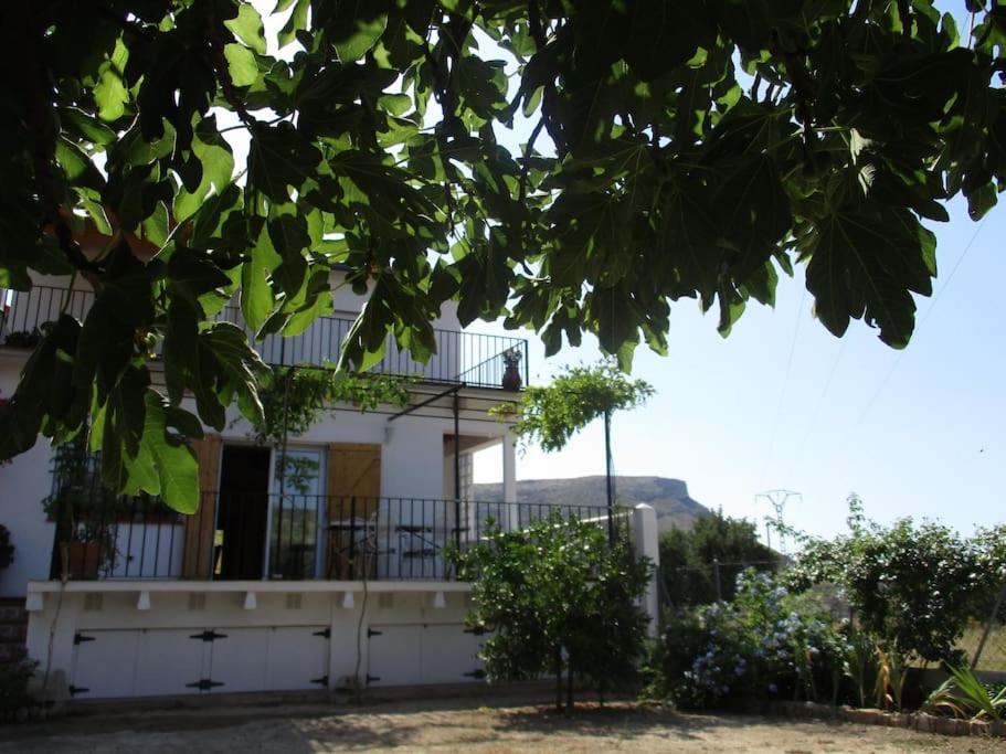 הוילה צ'ולייה Casa La Higuera מראה חיצוני תמונה