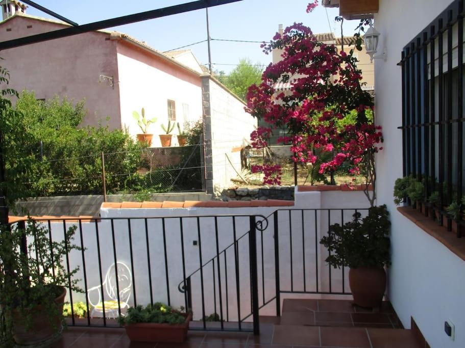 הוילה צ'ולייה Casa La Higuera מראה חיצוני תמונה