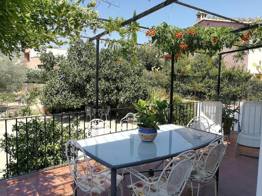 הוילה צ'ולייה Casa La Higuera מראה חיצוני תמונה