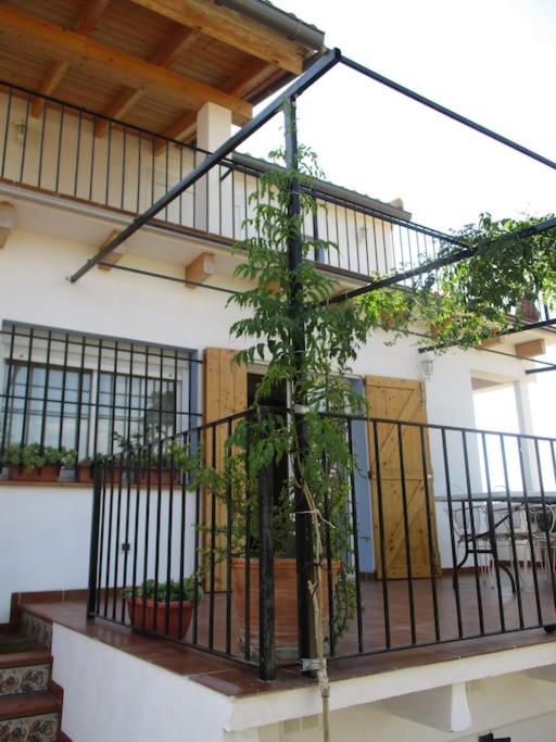 הוילה צ'ולייה Casa La Higuera מראה חיצוני תמונה