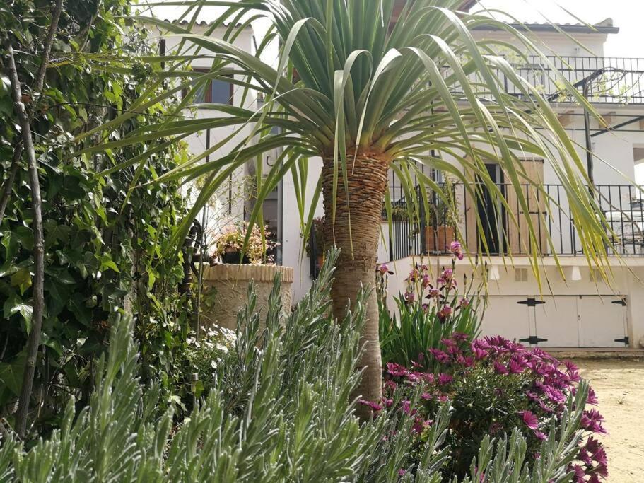 הוילה צ'ולייה Casa La Higuera מראה חיצוני תמונה
