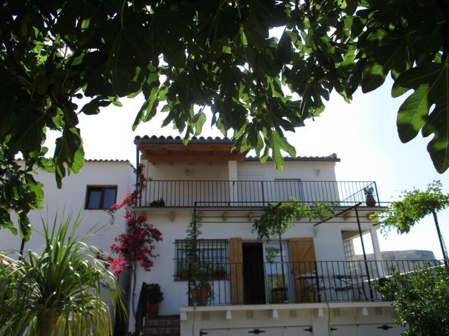 הוילה צ'ולייה Casa La Higuera מראה חיצוני תמונה