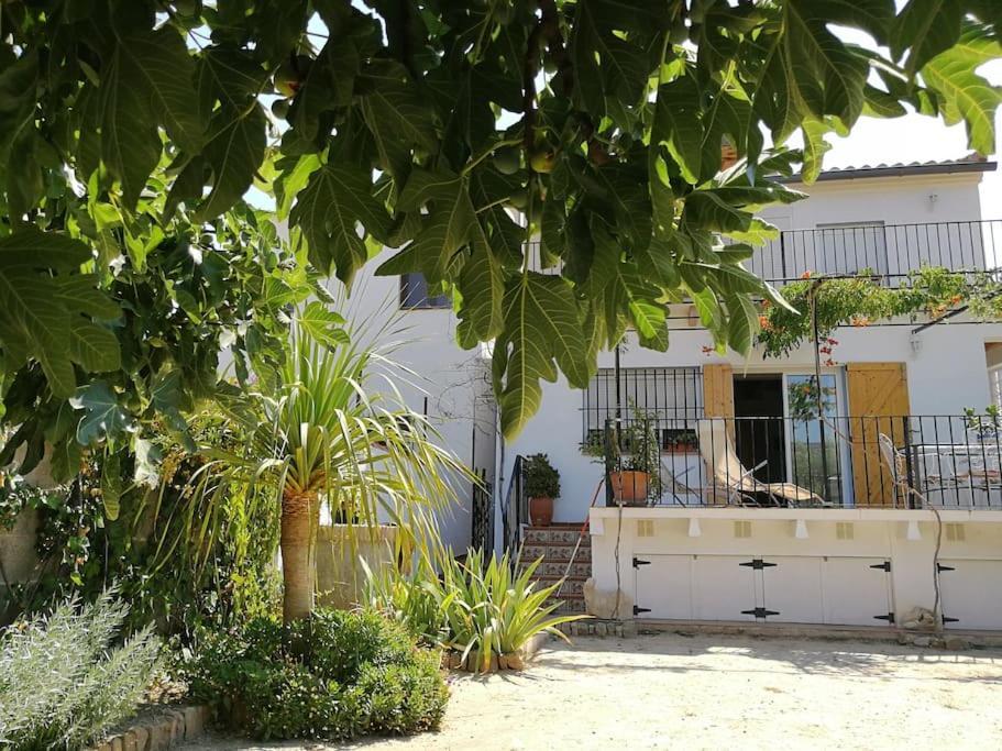 הוילה צ'ולייה Casa La Higuera מראה חיצוני תמונה