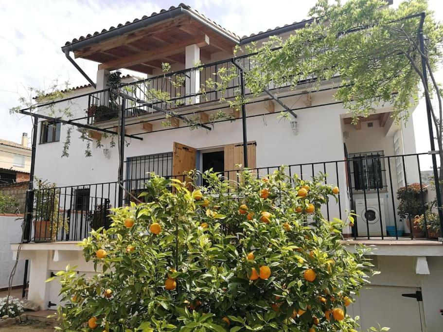 הוילה צ'ולייה Casa La Higuera מראה חיצוני תמונה